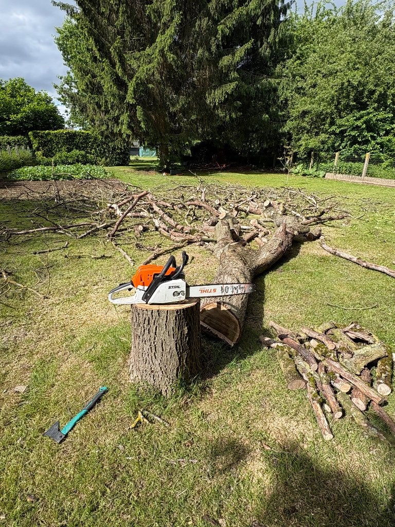 Vellen van bomen, Ophalen