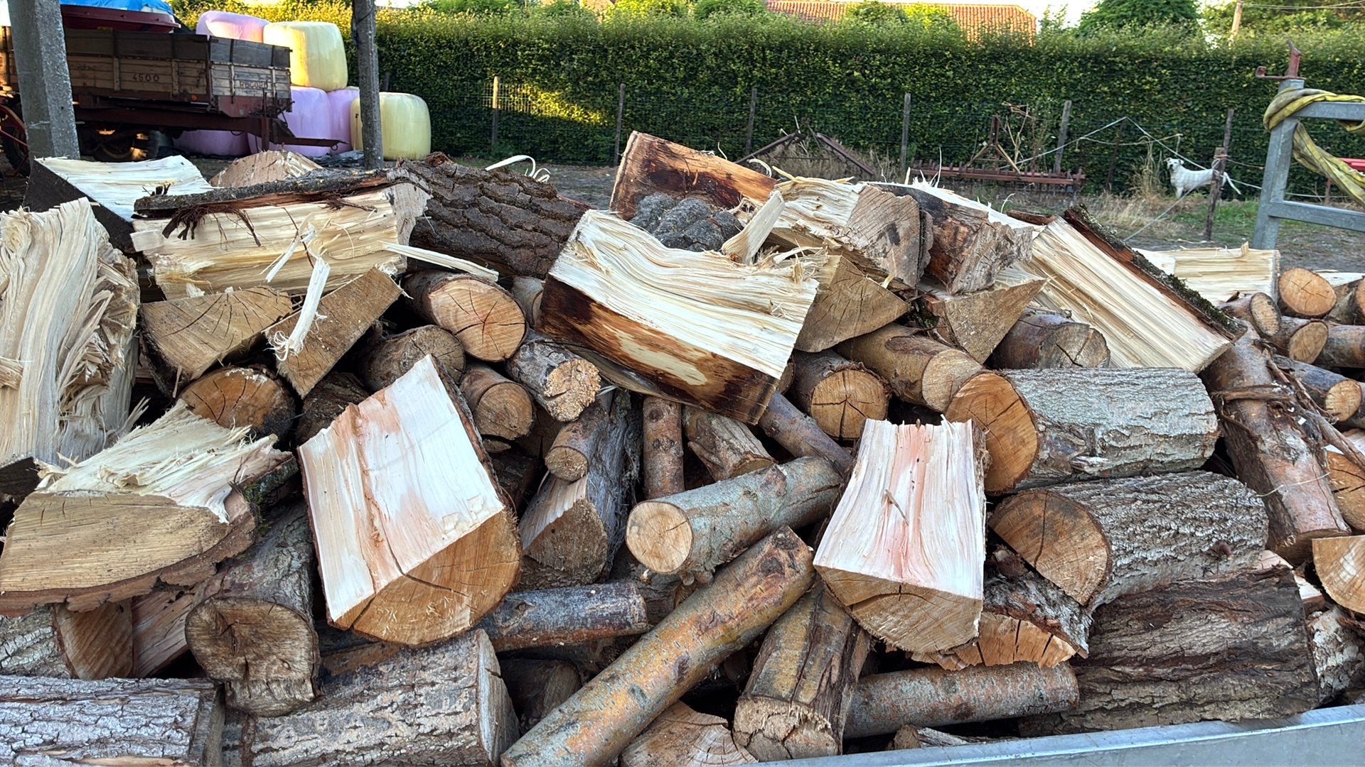 Brand hout, Tuin en Terras, Brandhout, 6 m³ of meer, Ophalen, Overige houtsoorten, Blokken