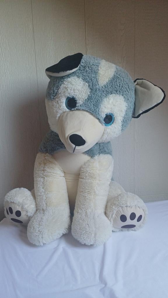 Très grande et douce peluche chien husky bleu et blanc 80cm, Bleu, Comme neuf, Enlèvement, Chien