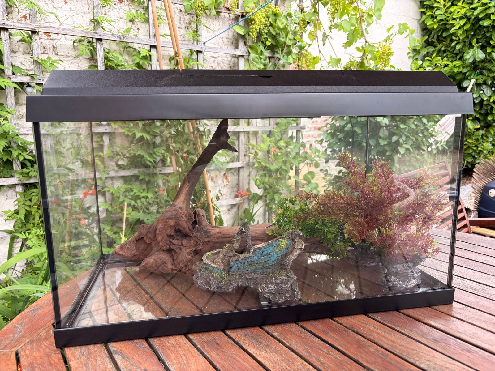 Aquarium Juwel - 60 litres (H43, L30,l60), Ophalen, Gebruikt, Verlichting of Verwarming, Juwel