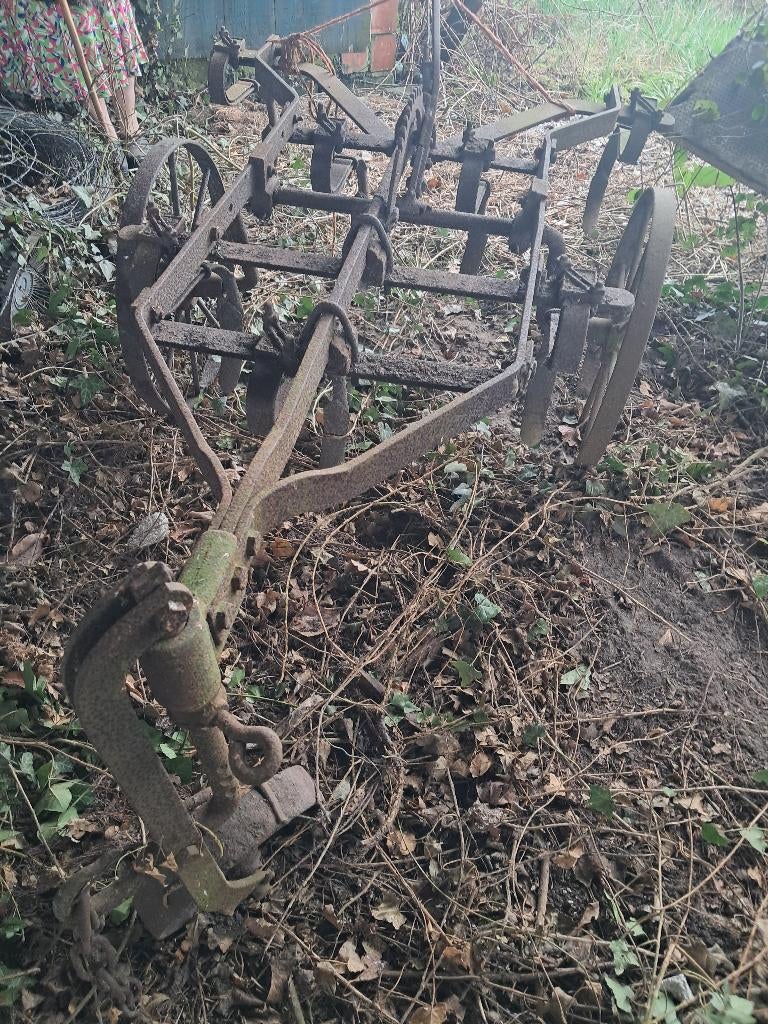 Culitivator voor trekpaard, Dieren en Toebehoren