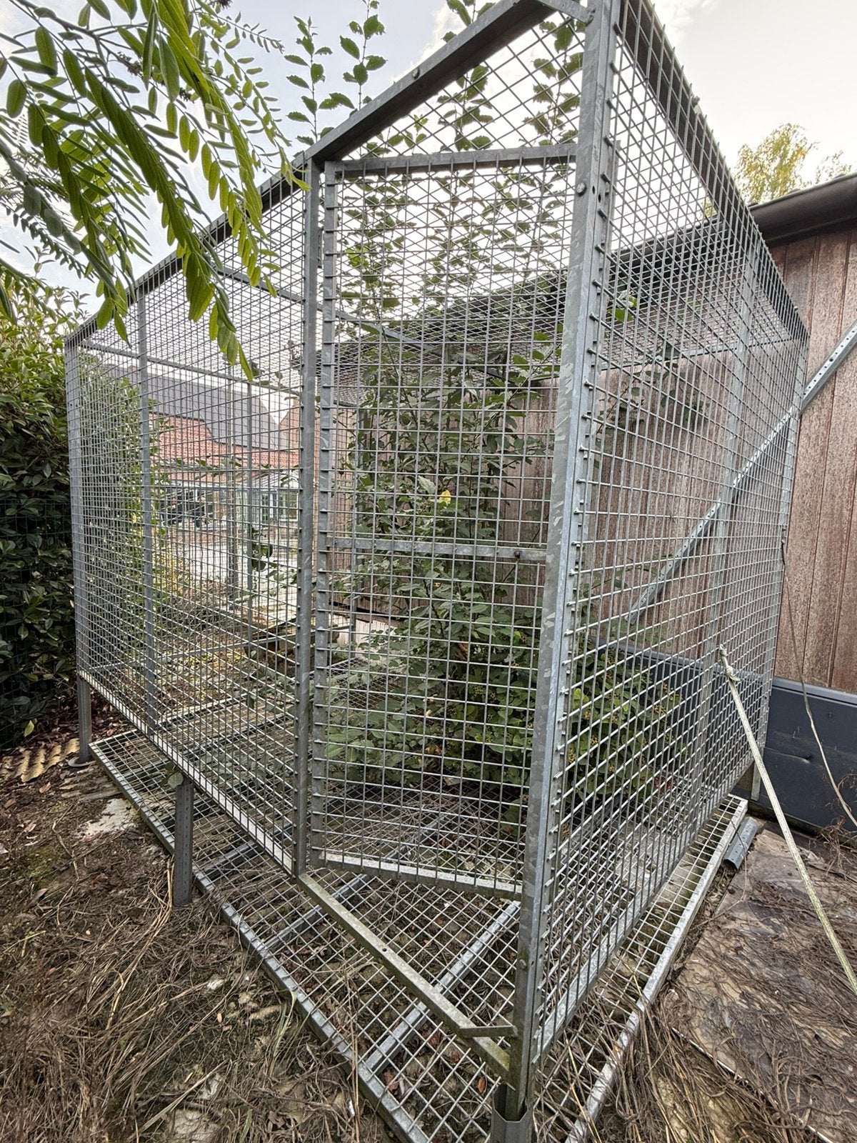 Duiven buitenvolière, Dieren en Toebehoren