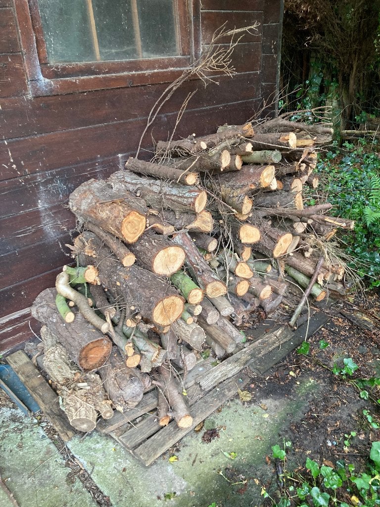 Gratis brandhout, Minder dan 3 m³, Ophalen, Overige houtsoorten, Takken