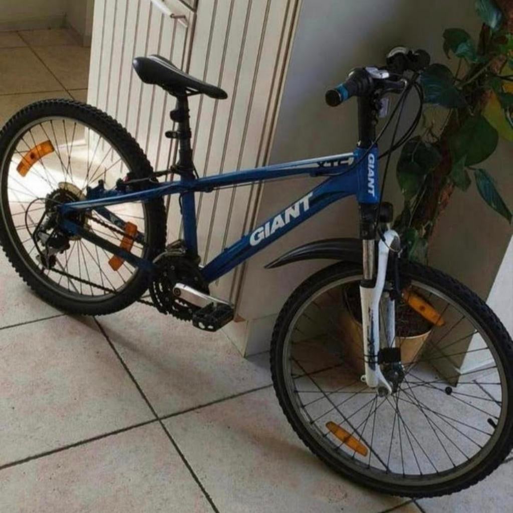 Giant jongensfiets mountainbike in zeer goede staat., Ophalen, 22 inch, Giant, Versnellingen