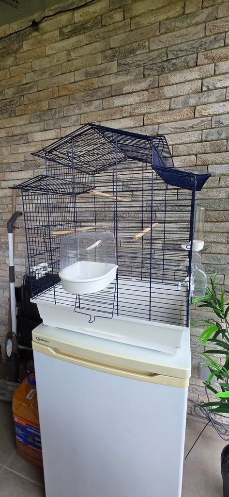 Grote vogelkooi voor parkieten & kanaries, Enlèvement, Utilisé, Cage à oiseaux