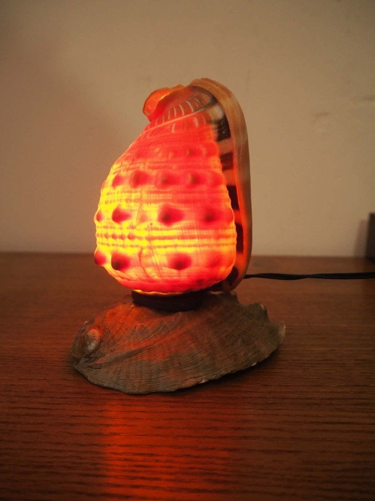 Natuurlijke vintage schelp lamp, tafellamp, 1950s, Enlèvement ou Envoi, Coquillage(s)