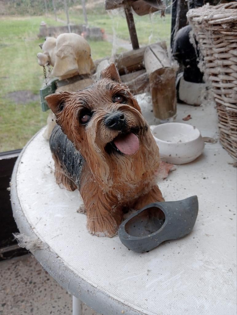 Image lourde d'un Yorkshire, Enlèvement