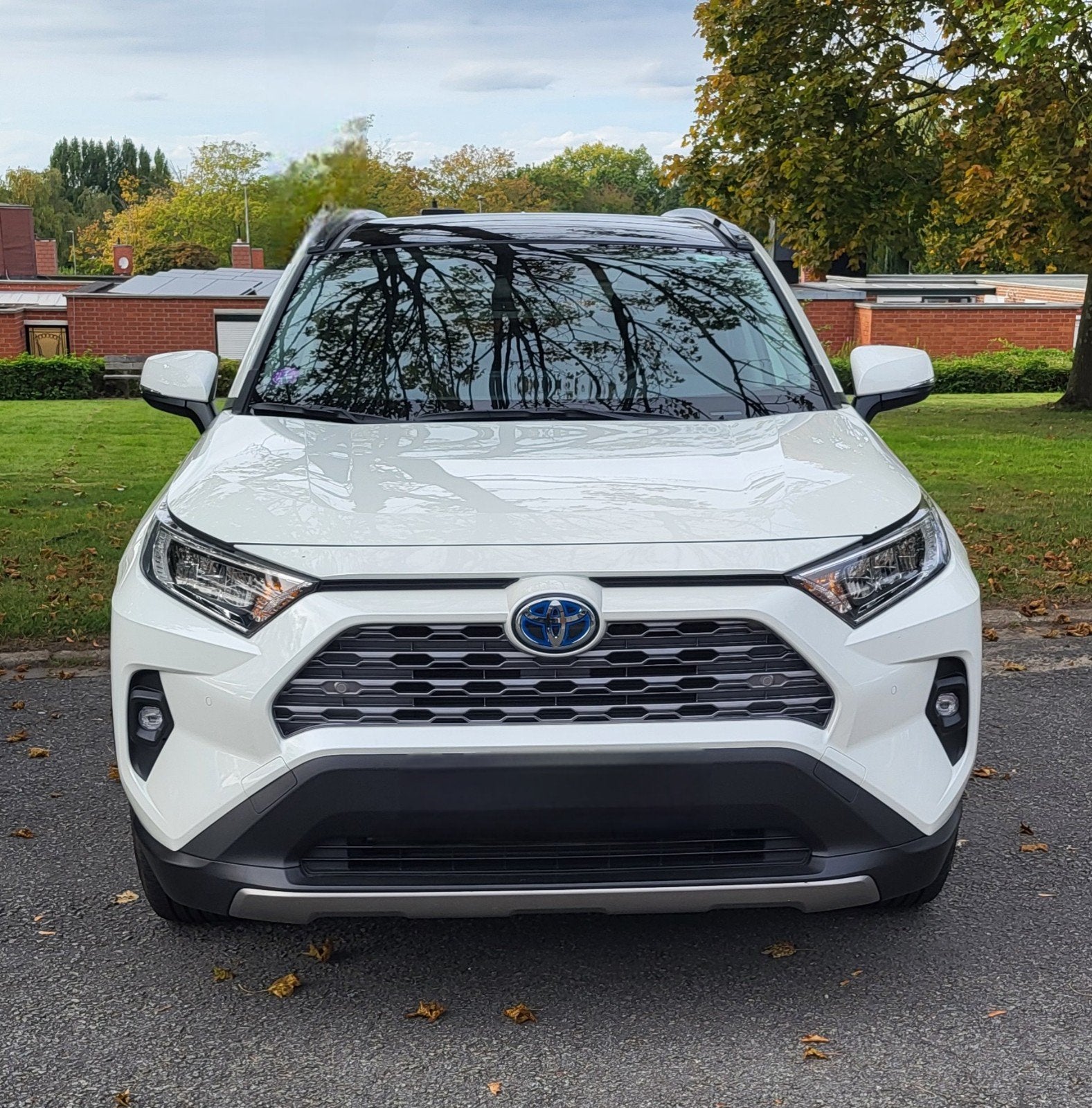 Toyota Rav 4, Autos, Phares directionnels, Achat, 2487 cm³, Euro 6