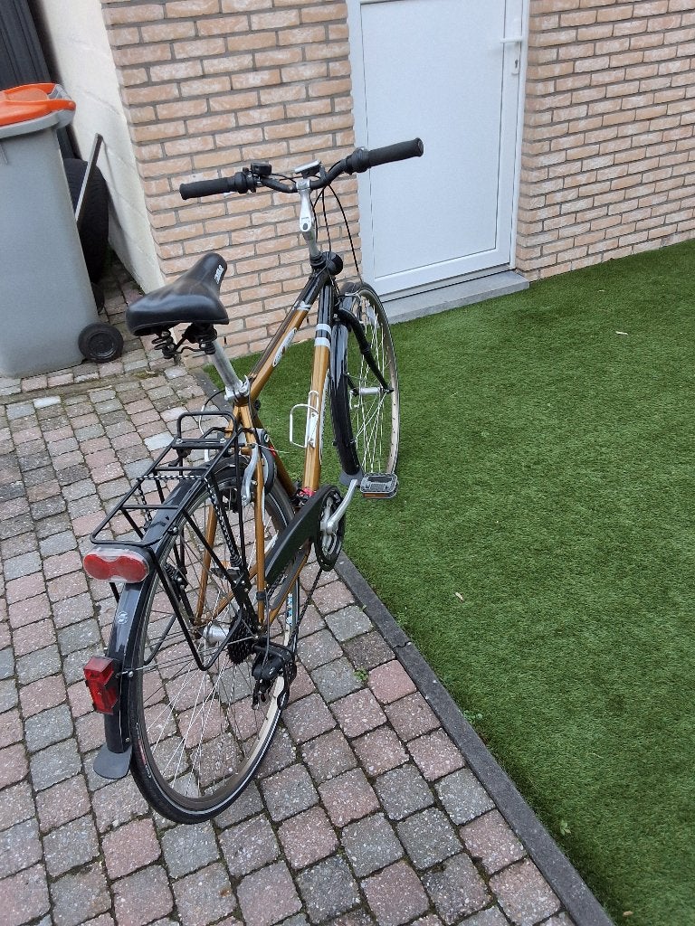 Mannen Fiets, Enlèvement, Utilisé, Autres marques