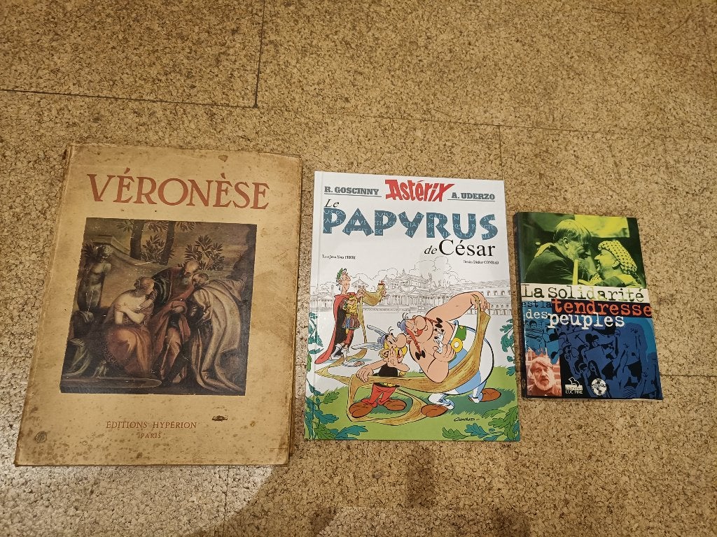 75 Franstalige boeken/75 Livres en français, Ophalen of Verzenden, Gelezen, Klassieke auteurs, Fictie
