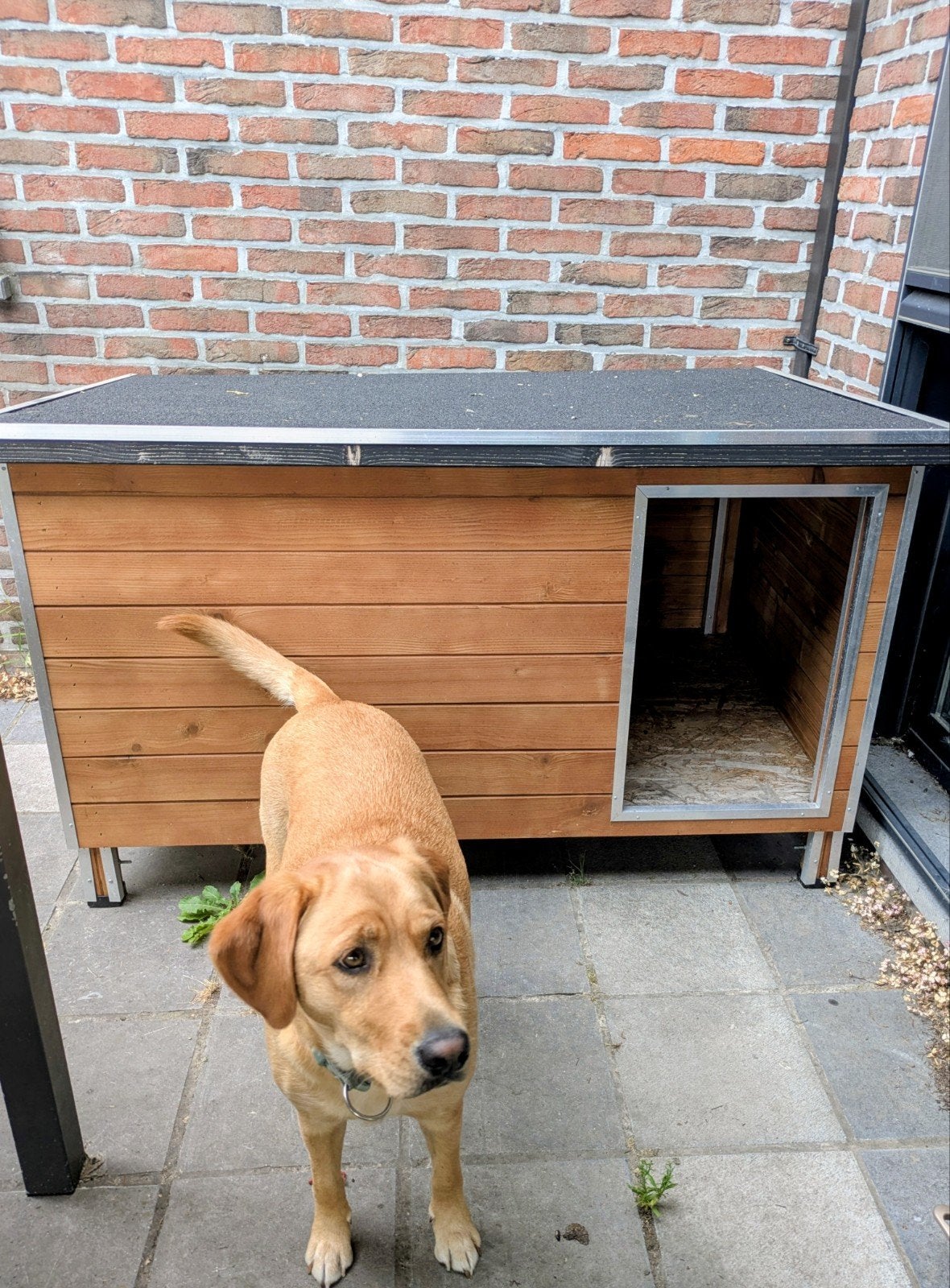hondenhok ( maat large ), Ophalen, Hondenhok
