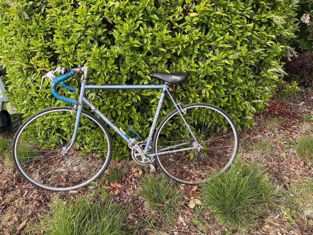 Fiets, Fietsen en Brommers, Gebruikt, Velgrem, Versnellingen, 49 tot 53 cm