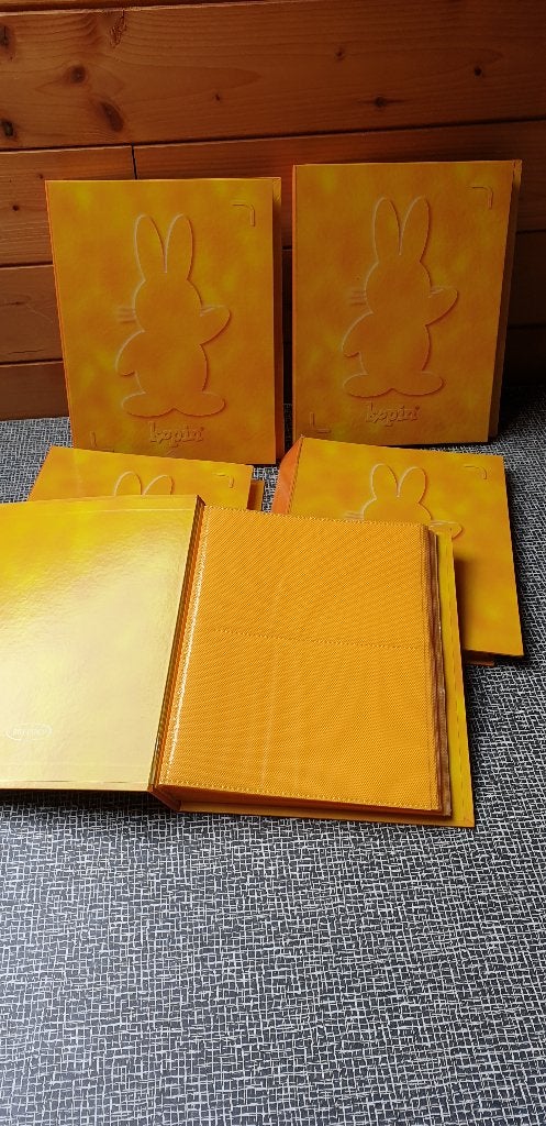 Fotoalbums, Audio, Tv en Foto, Fotoalbums en Accessoires, Nieuw, Ophalen of Verzenden, Insteekalbum, Geel