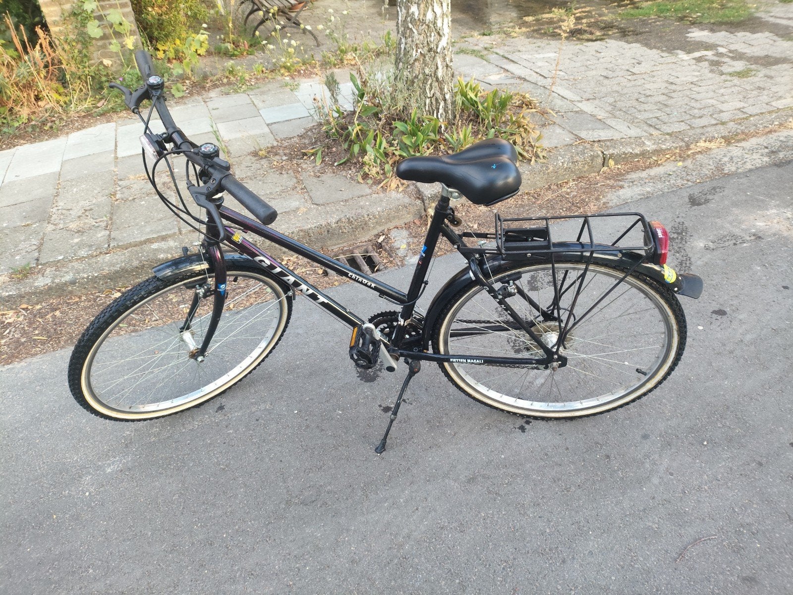 Giant trekkingfiets 20 inch, Fietsen en Brommers, Ophalen, Gebruikt, Velgrem, Versnellingen