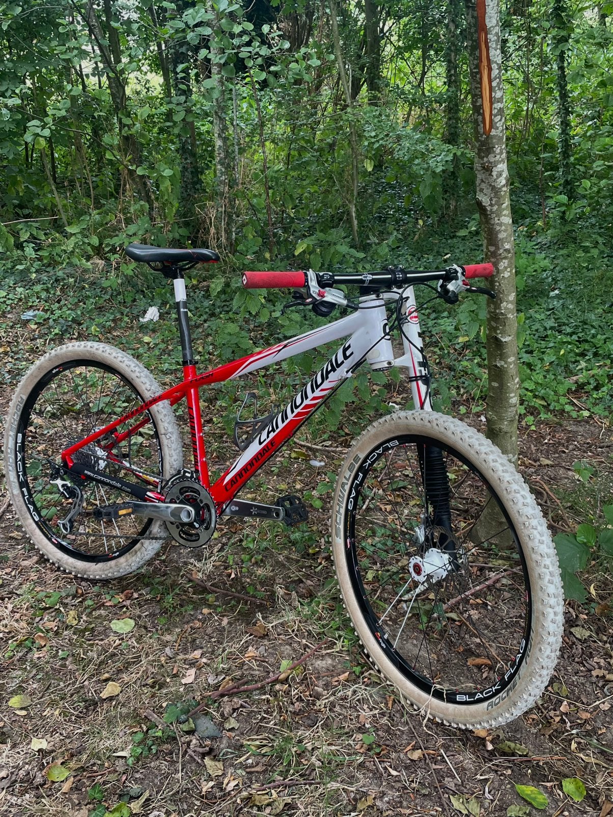 Cannondale lefty carbon maat (S), Fietsen en Brommers, Gebruikt, Hardtail, Heren, 45 tot 49 cm