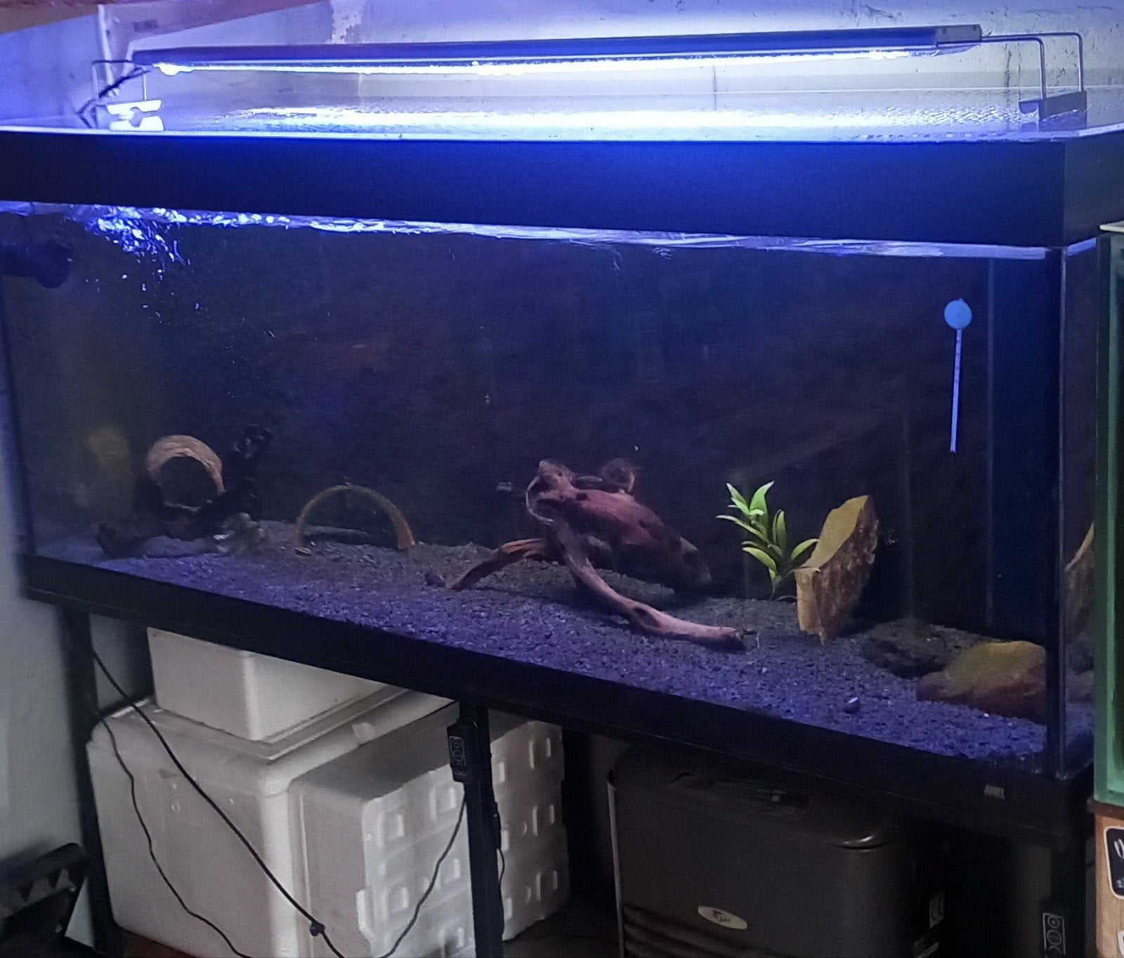 aqaurium 1m50 juwel, Ophalen, Pomp, Decoratie, Juwel