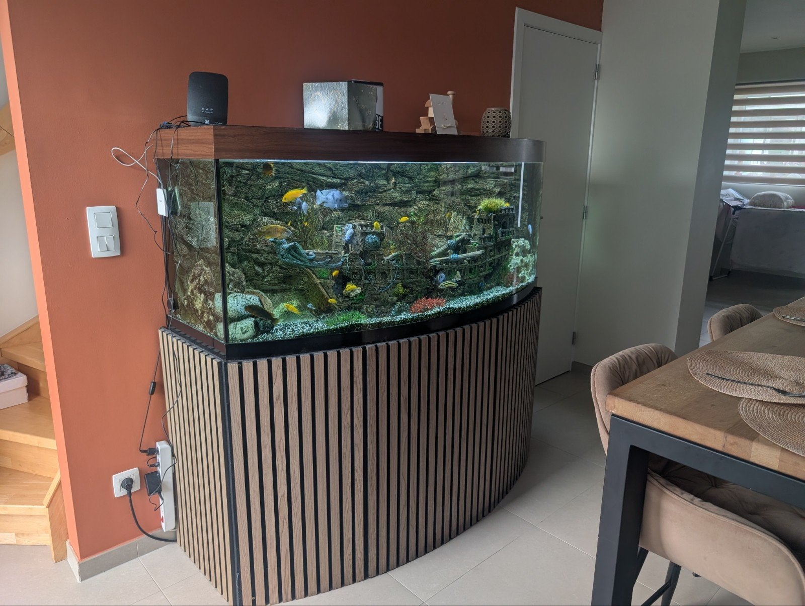 Aquarium 1m50 met cichliden, Ophalen of Verzenden