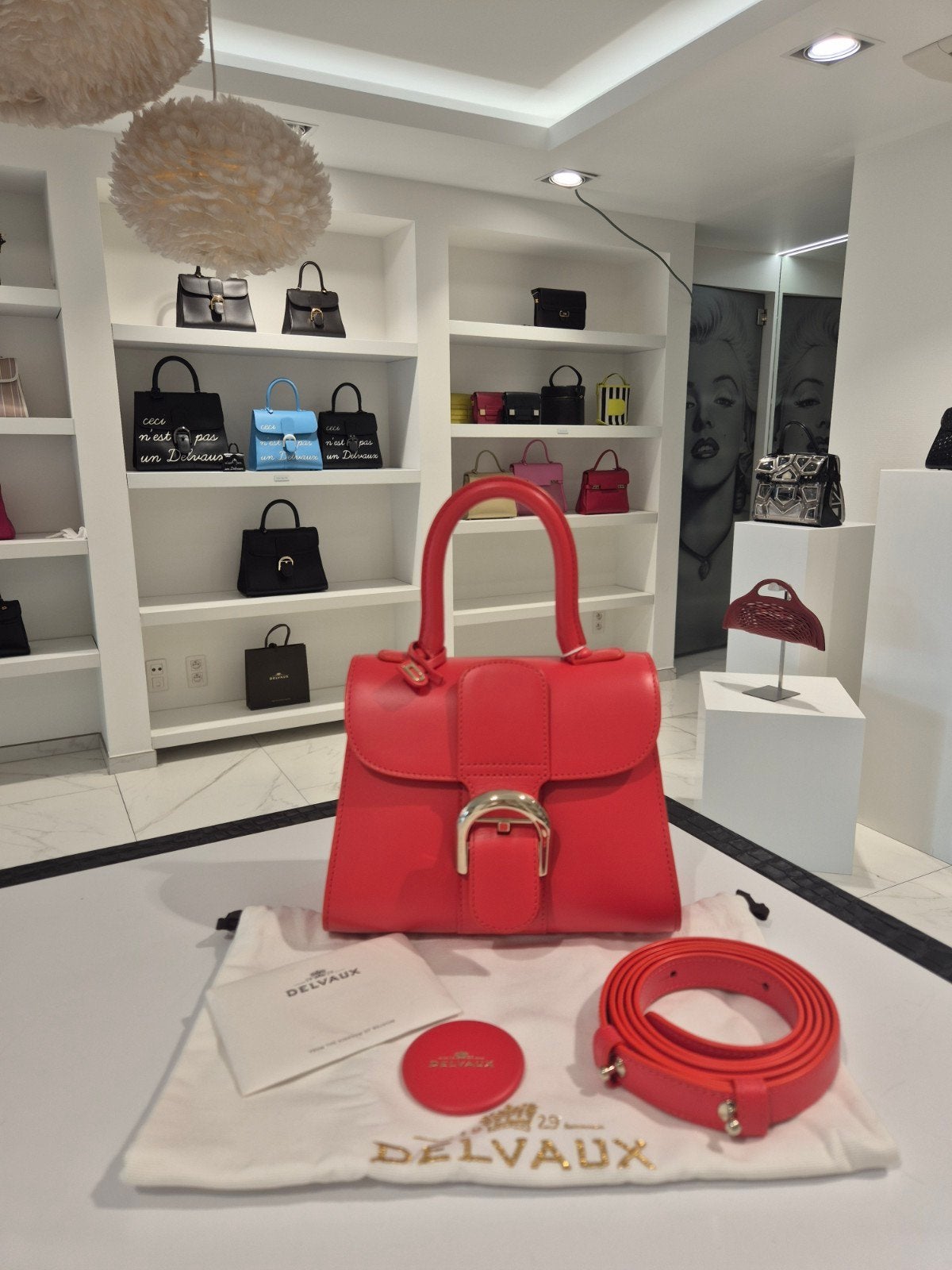 Delvaux Brillant Mini in box calf corail, Ophalen, Zo goed als nieuw, Overige kleuren, Handtas