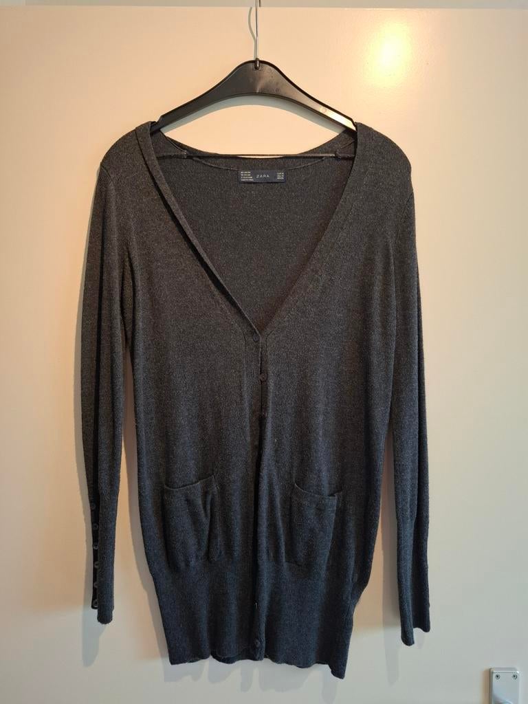 Cardigan, Zara, Zo goed als nieuw, Grijs, Ophalen