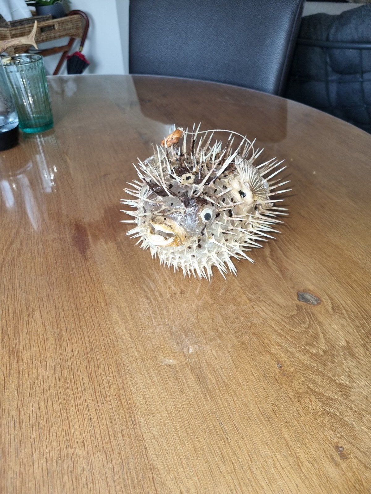 Taxidermy, Ophalen of Verzenden