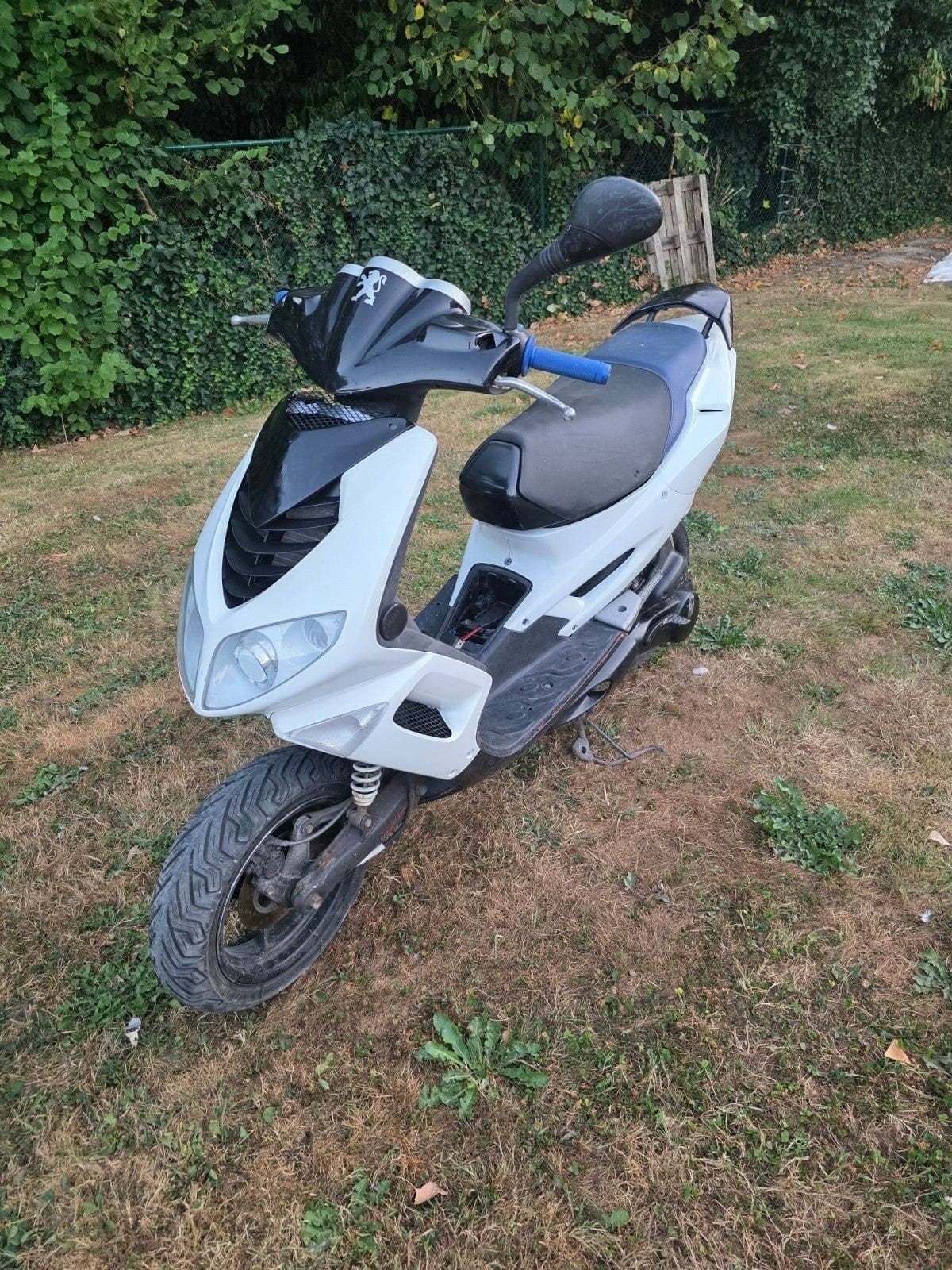 scooter klasse b, Fietsen en Brommers, Scooters | Peugeot, Ophalen, Speedfight