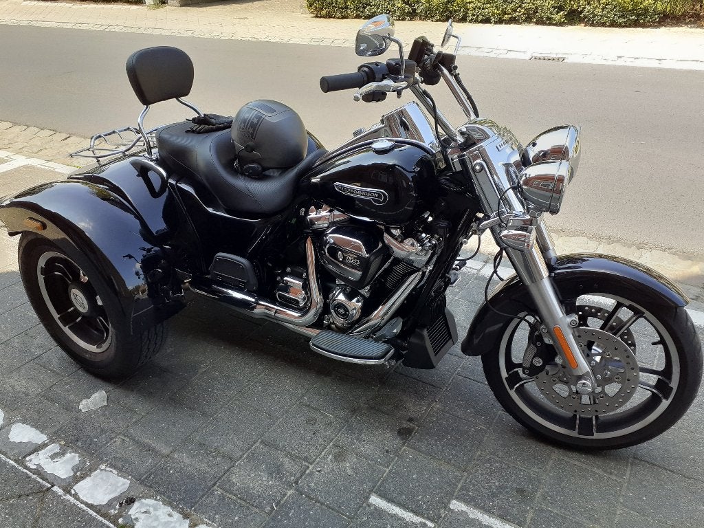 Harley Davidson Freewheeler, Particulier, Autre