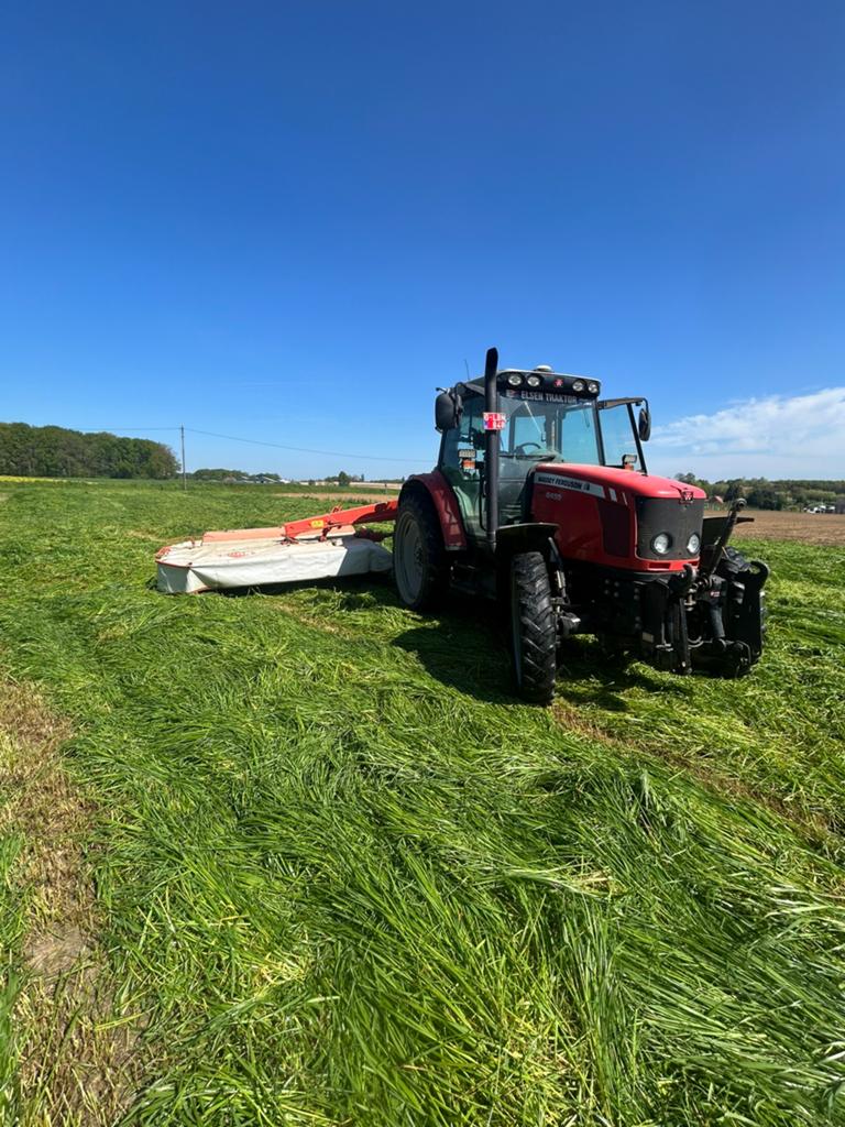 Maaien van grasland /weiland, Weidegang