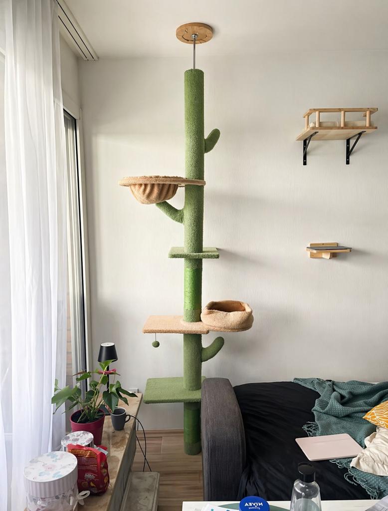 Verstelbare cactus krabpaal plafondhoog 205-255 cm, Ophalen of Verzenden, Zo goed als nieuw, Krabpaal