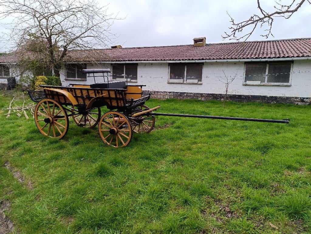 Authentique calèche de ferme hongroise, Utilisé, Autres types, Cheval