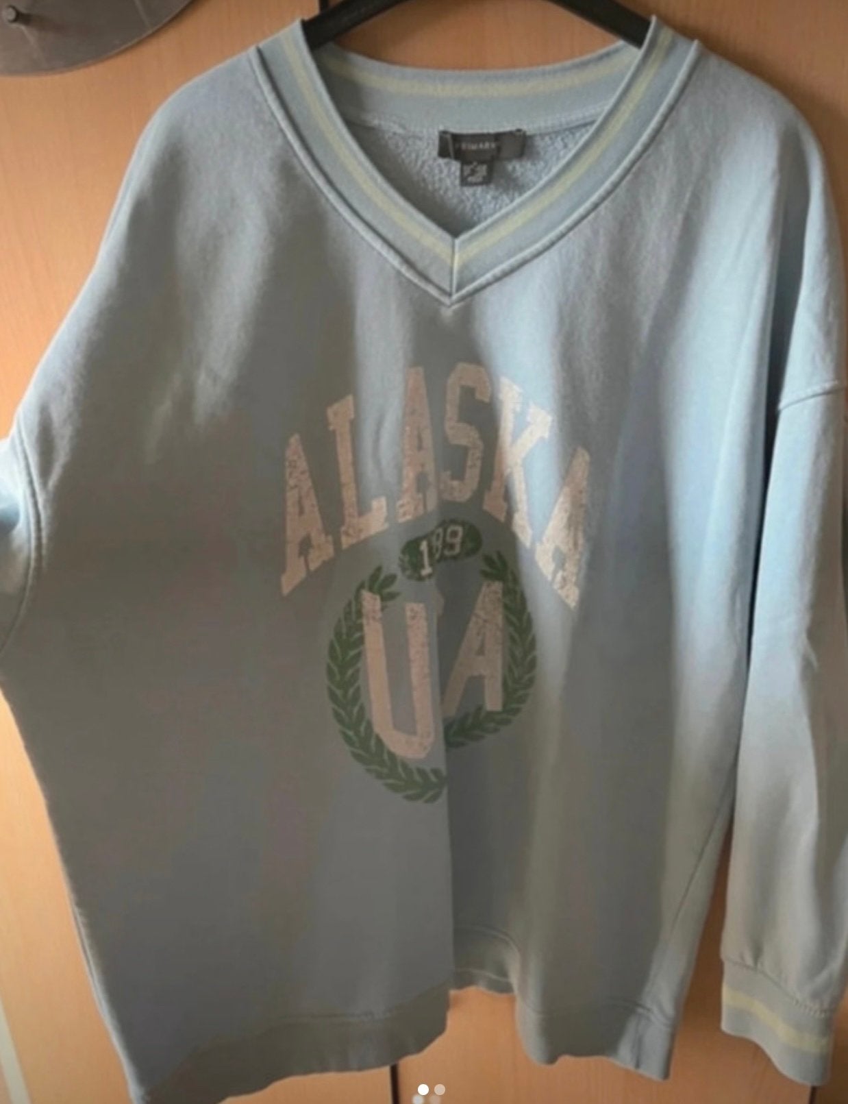 Trui primark maat M valt ruim, Kleding | Dames, Truien en Vesten, Ophalen of Verzenden, Zo goed als nieuw, Maat 38/40 (M)