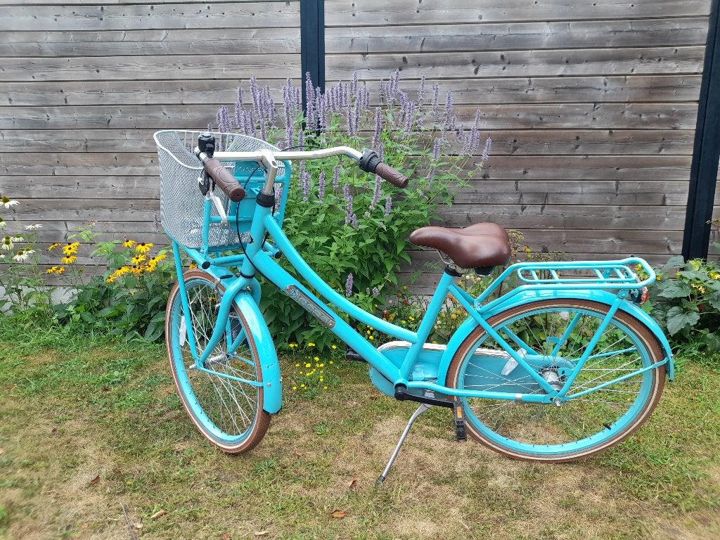 Meisjesfiets Popal, Enlèvement, Vitesses