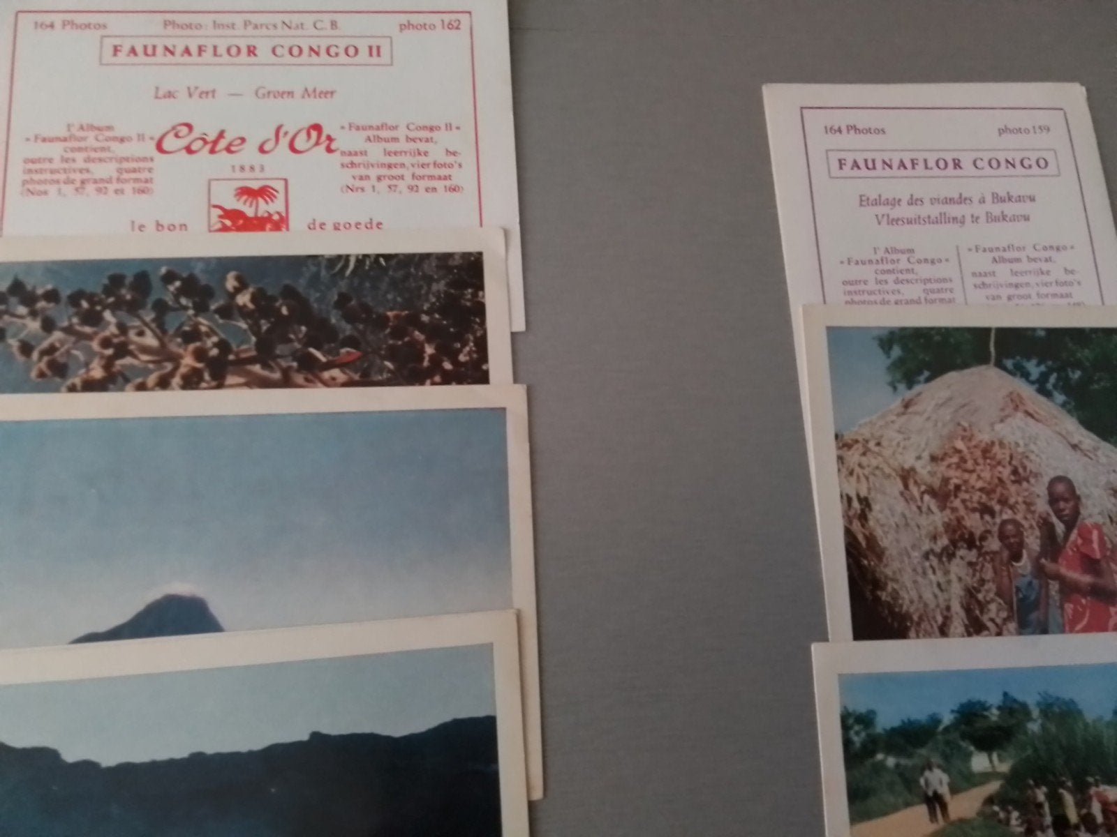 Faunaflor Congo 1 et 2 chromos de Côte d Or, Livres, Enlèvement