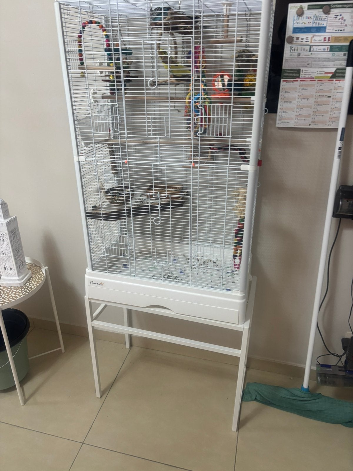 Cage complet avec pied et perruche, Dieren en Toebehoren, Ophalen, Vogelkooi