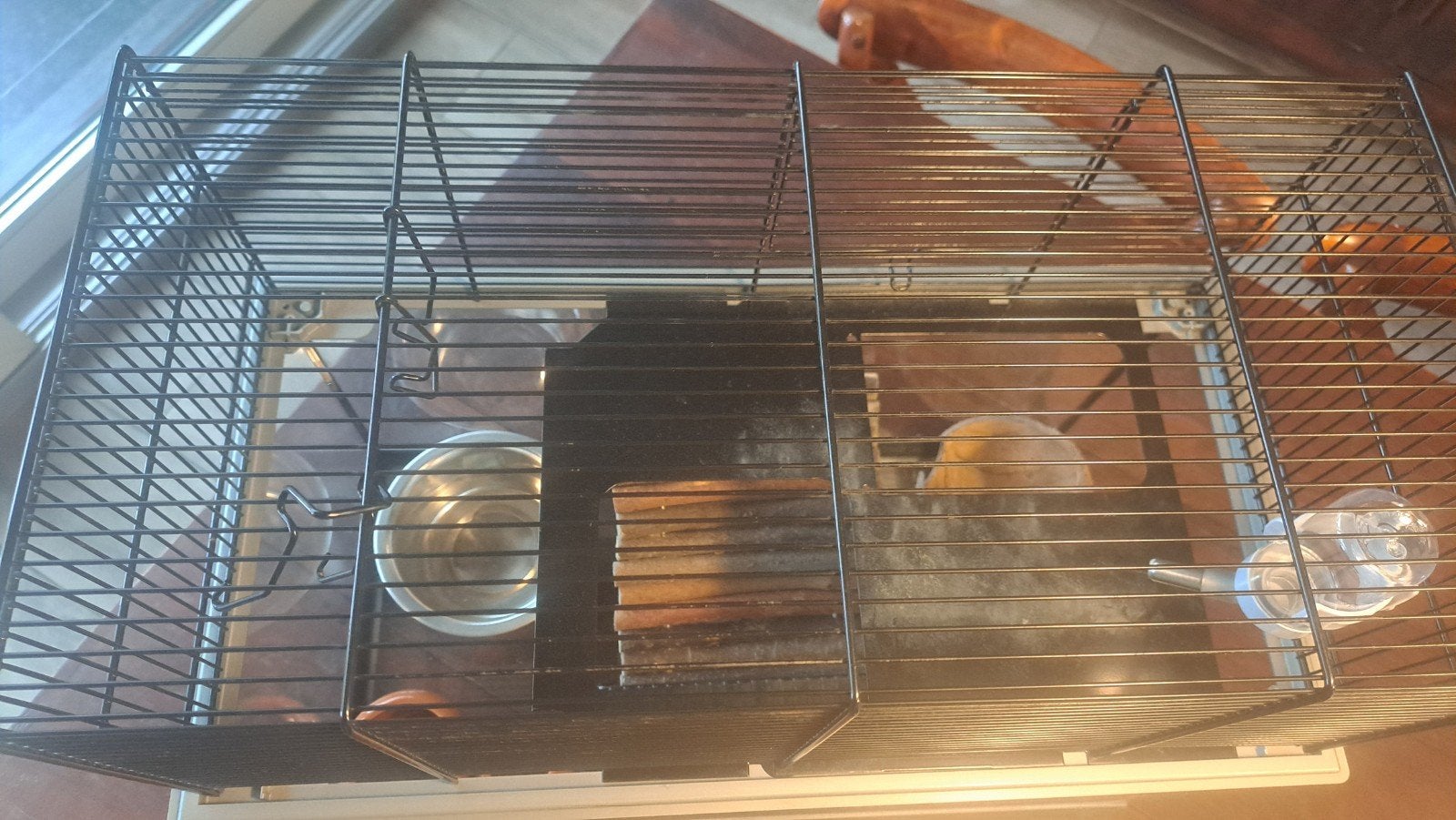 hamsterkooi, Ophalen, Hamster