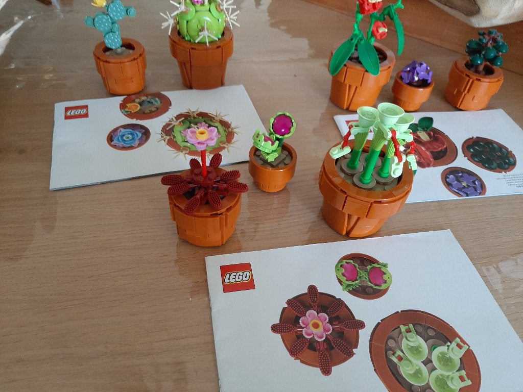 Lego set 10326 Botanicals - Tiny plants, Overige thema's, Lego, Ophalen of Verzenden, Zo goed als nieuw