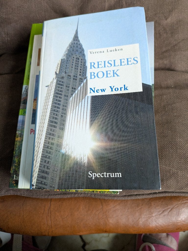 Reisleesboek new York, Boeken, Reisverhalen, Ophalen of Verzenden, Zo goed als nieuw, Verena lueken