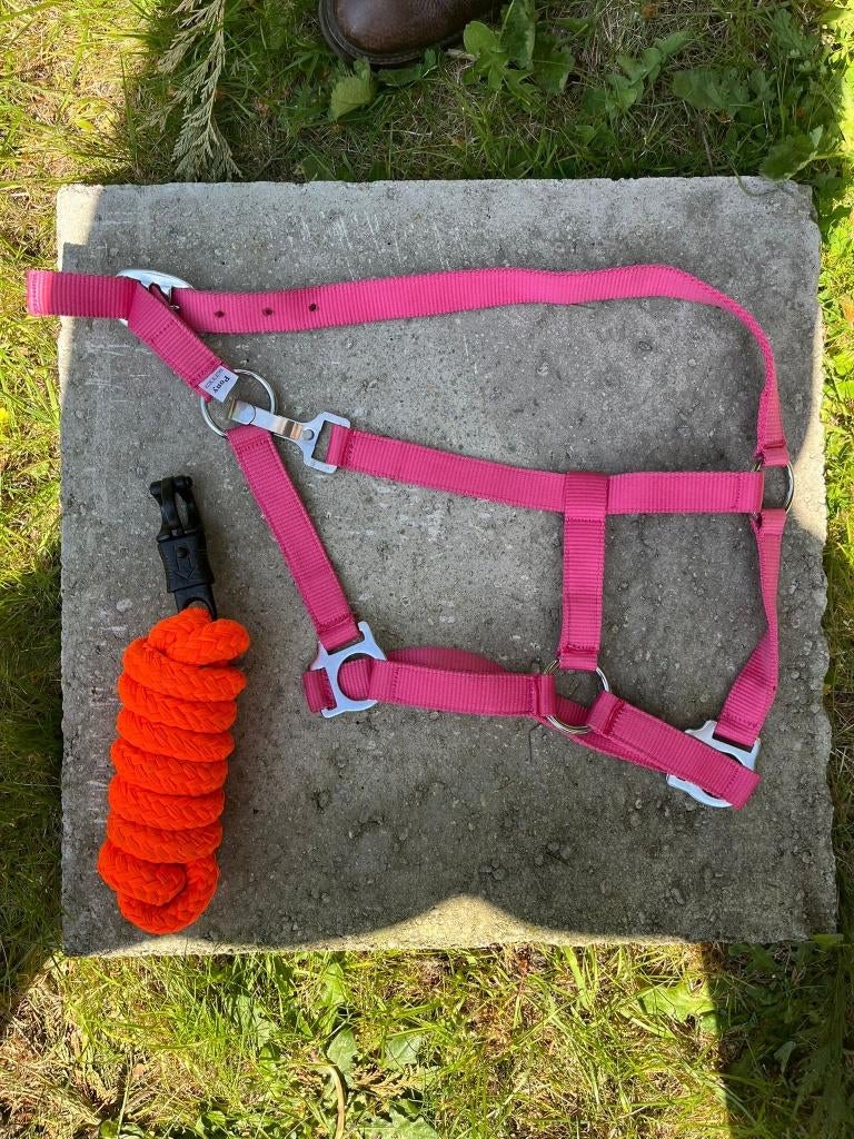 Halster pony (roze) touw (oranje), Ophalen of Verzenden, Nieuw