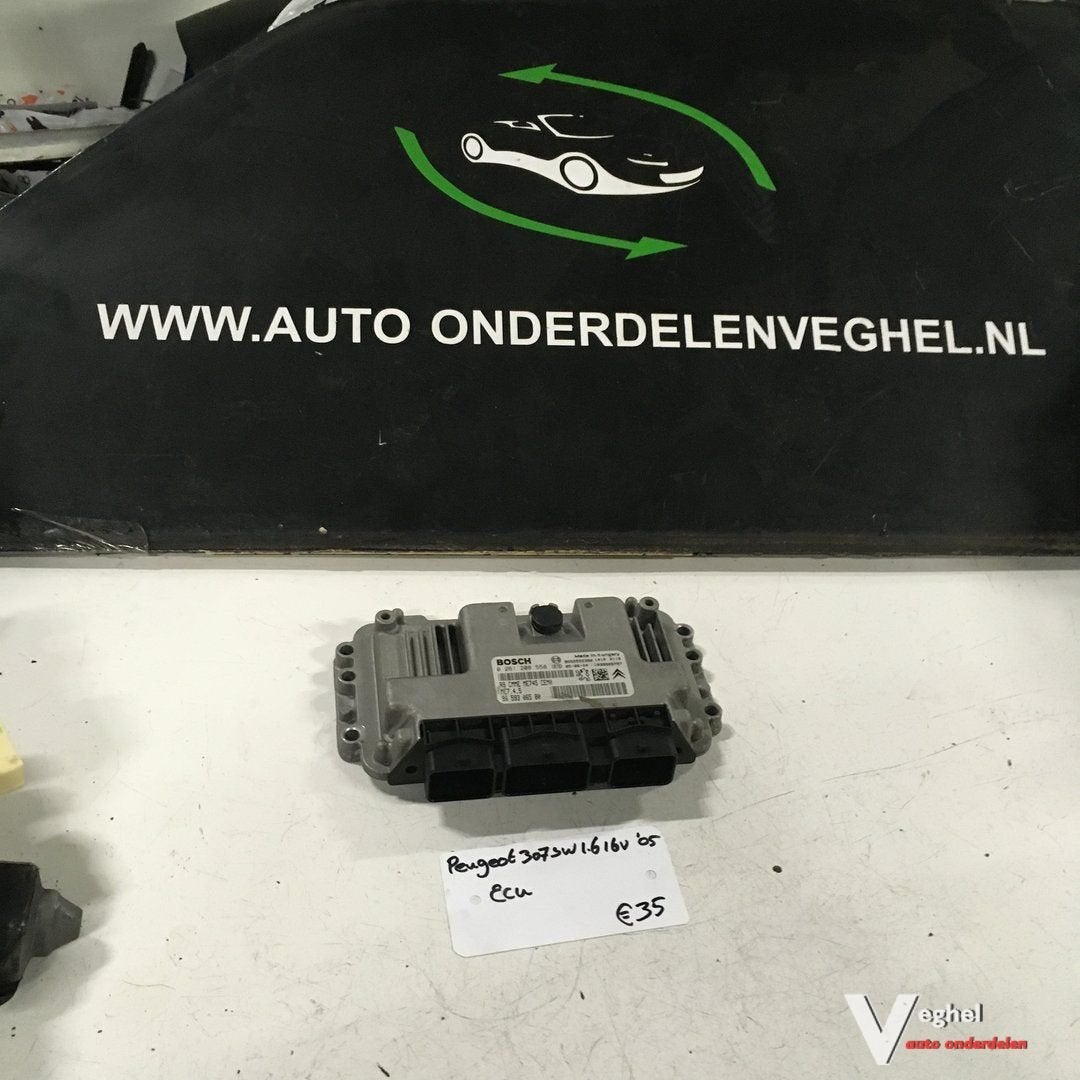Peugeot 307 SW 1.6 16v ECU Bosch 0 261 208 558, Auto-onderdelen, Gebruikt, -, -, Ophalen of Verzenden
