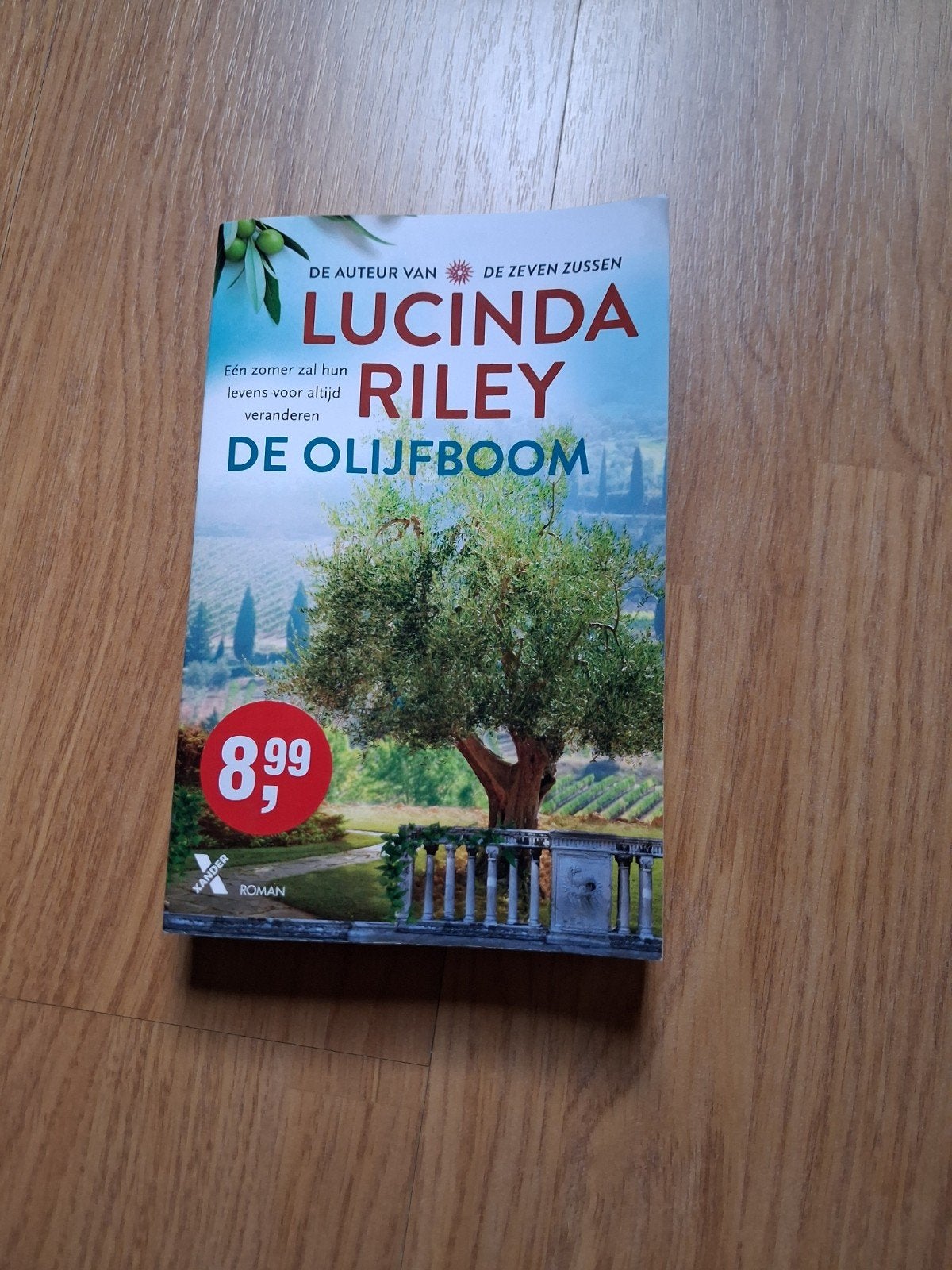 De olijfboom van lucinda Riley, Ophalen of Verzenden, Zo goed als nieuw, Lucinda Riley