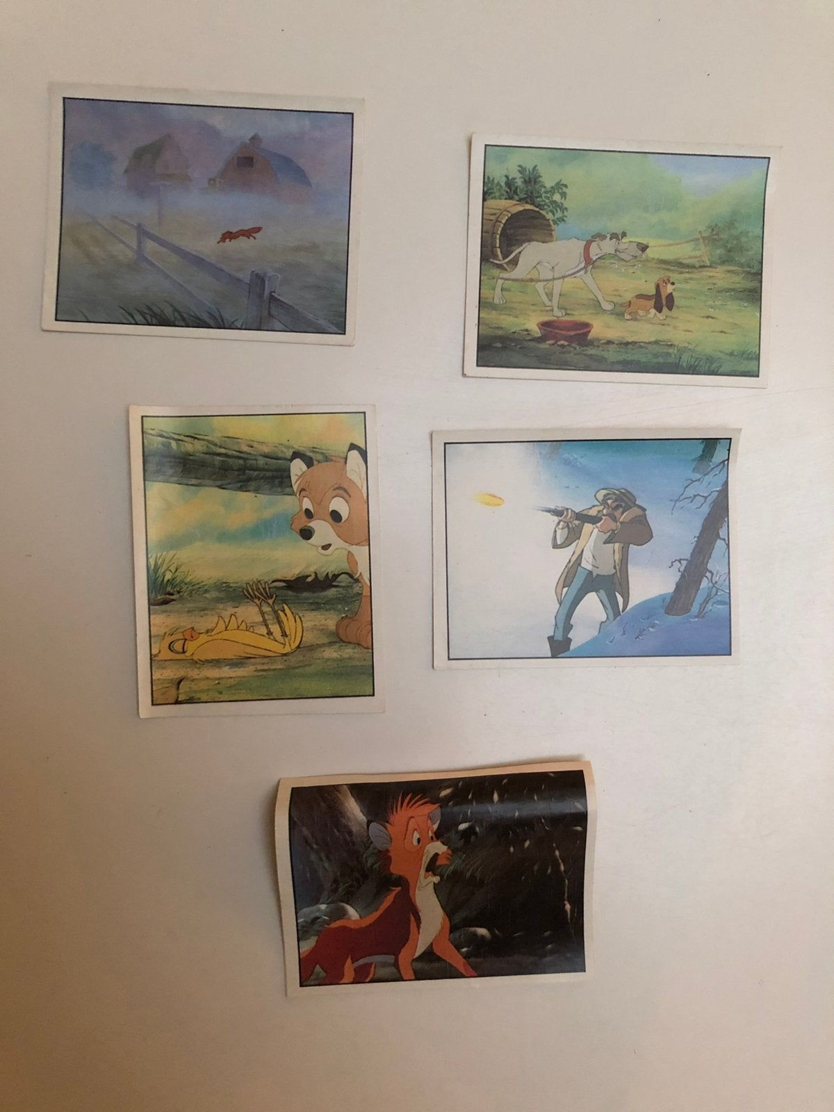 Panini Rox et Rouky, Ophalen of Verzenden, Nieuw, Meerdere stickers