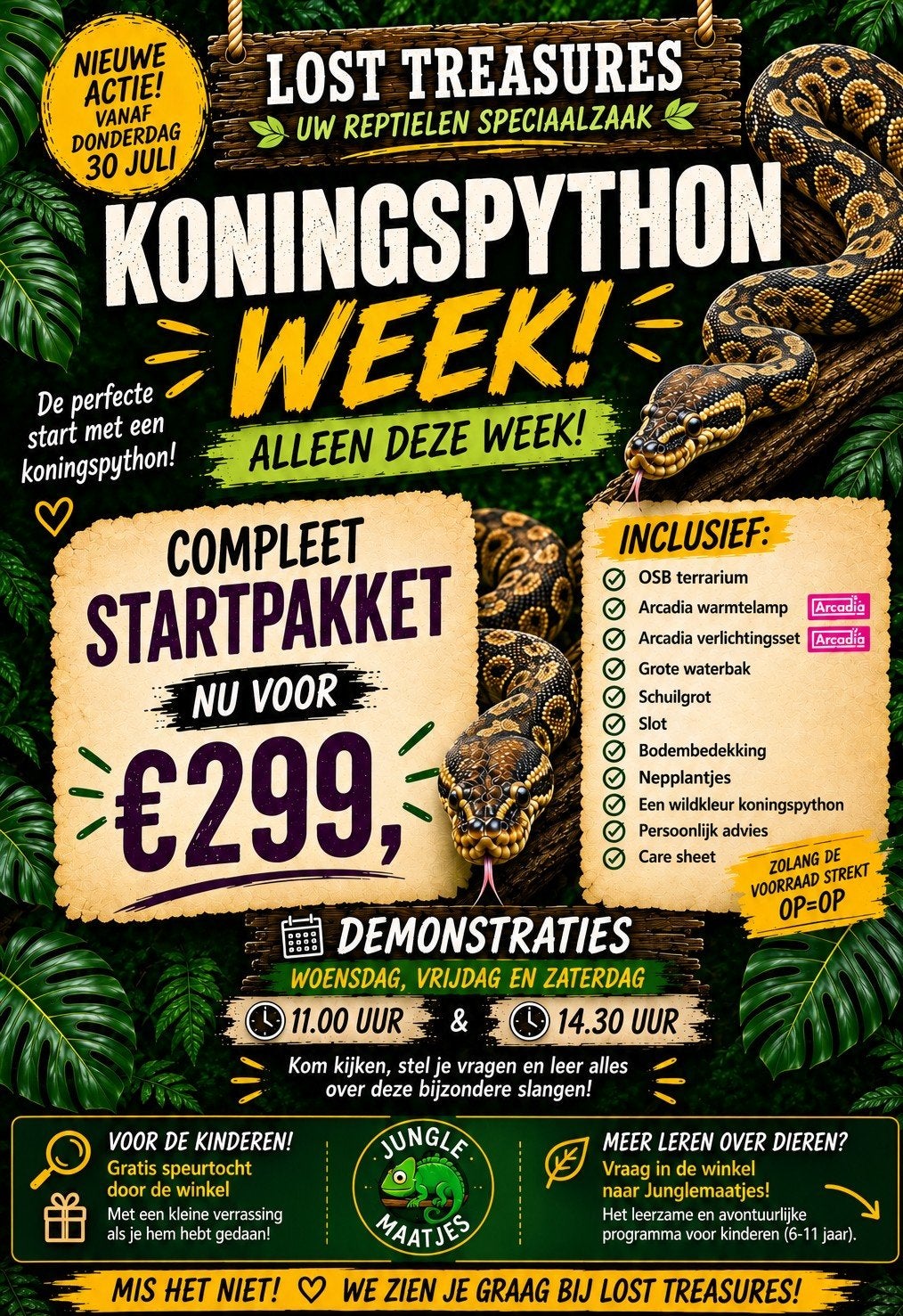 KONINGSPYTHON met terrarium en starterspakket 
Droom je al e