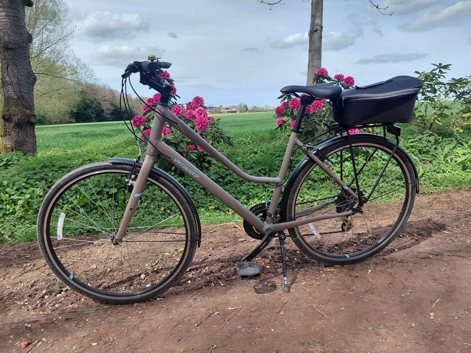 Sportive damesfiets merk Specialized in goede staat., Ophalen, Zo goed als nieuw, Overige merken