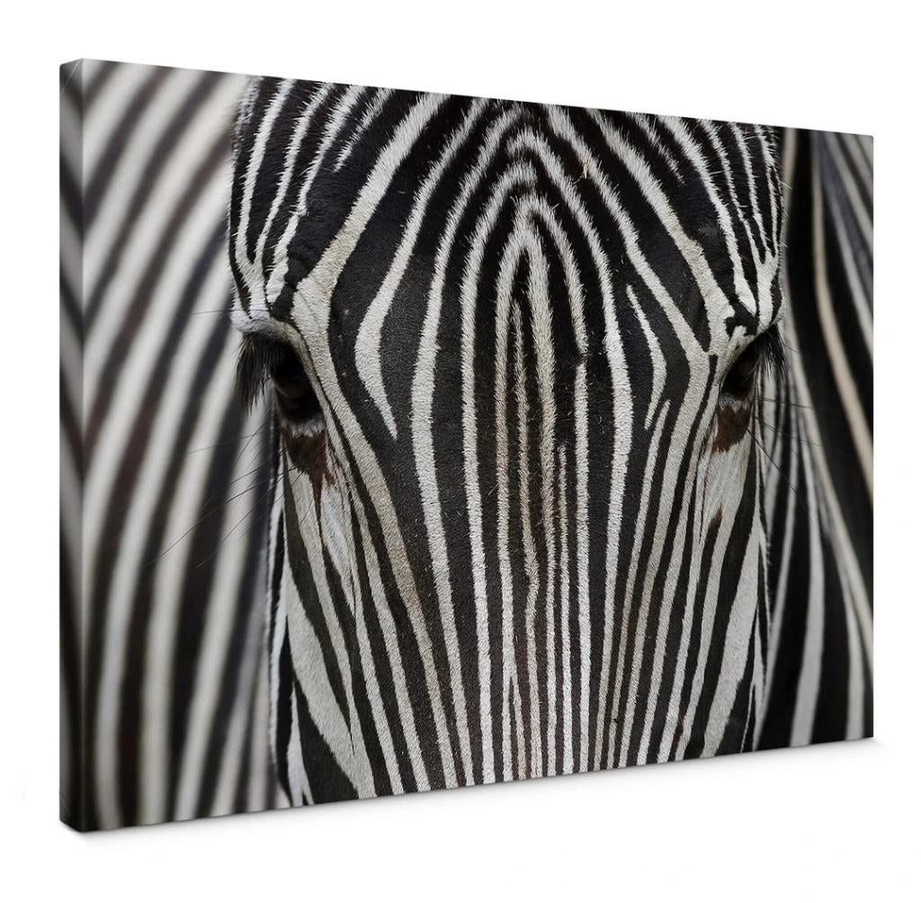 Canvas Zebra 120x80cm, Ophalen, Kunststof, Zo goed als nieuw, 100 tot 125 cm