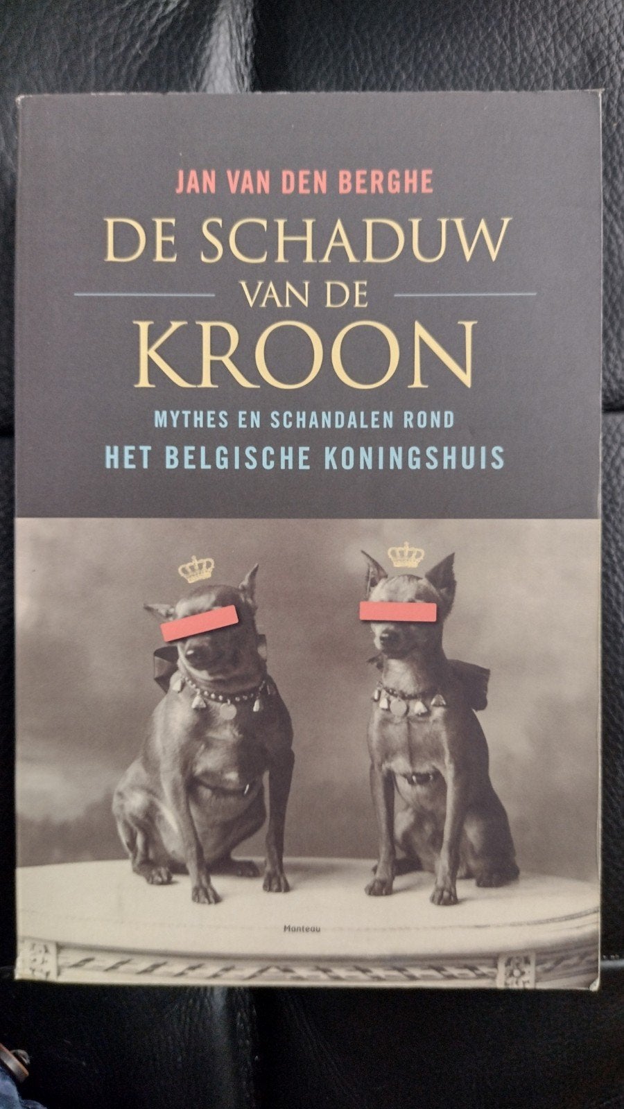 De schaduw van de kroon, Ophalen of Verzenden