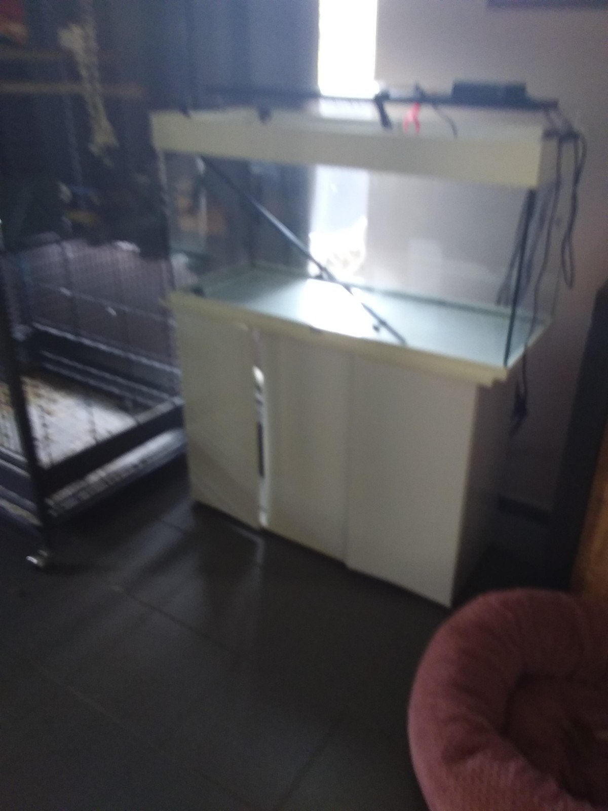 Aquarium, Dieren en Toebehoren, Ophalen