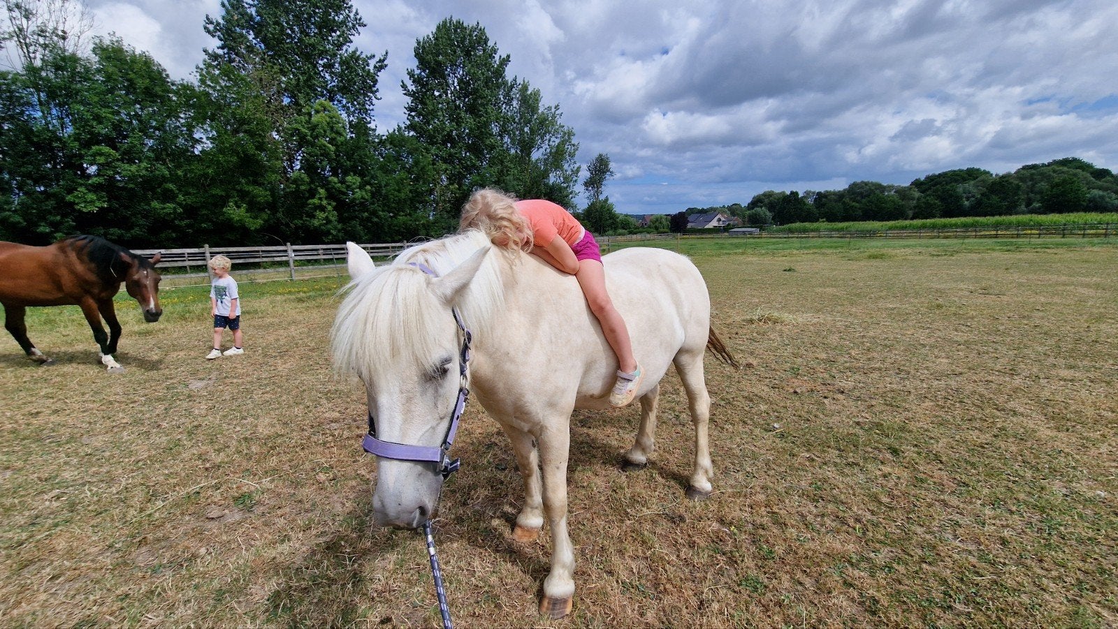 ✨️ prachtige palomino c pony ✨️, Ruin, C pony (1.27m tot 1.37m), Recreatiepony, 7 tot 10 jaar