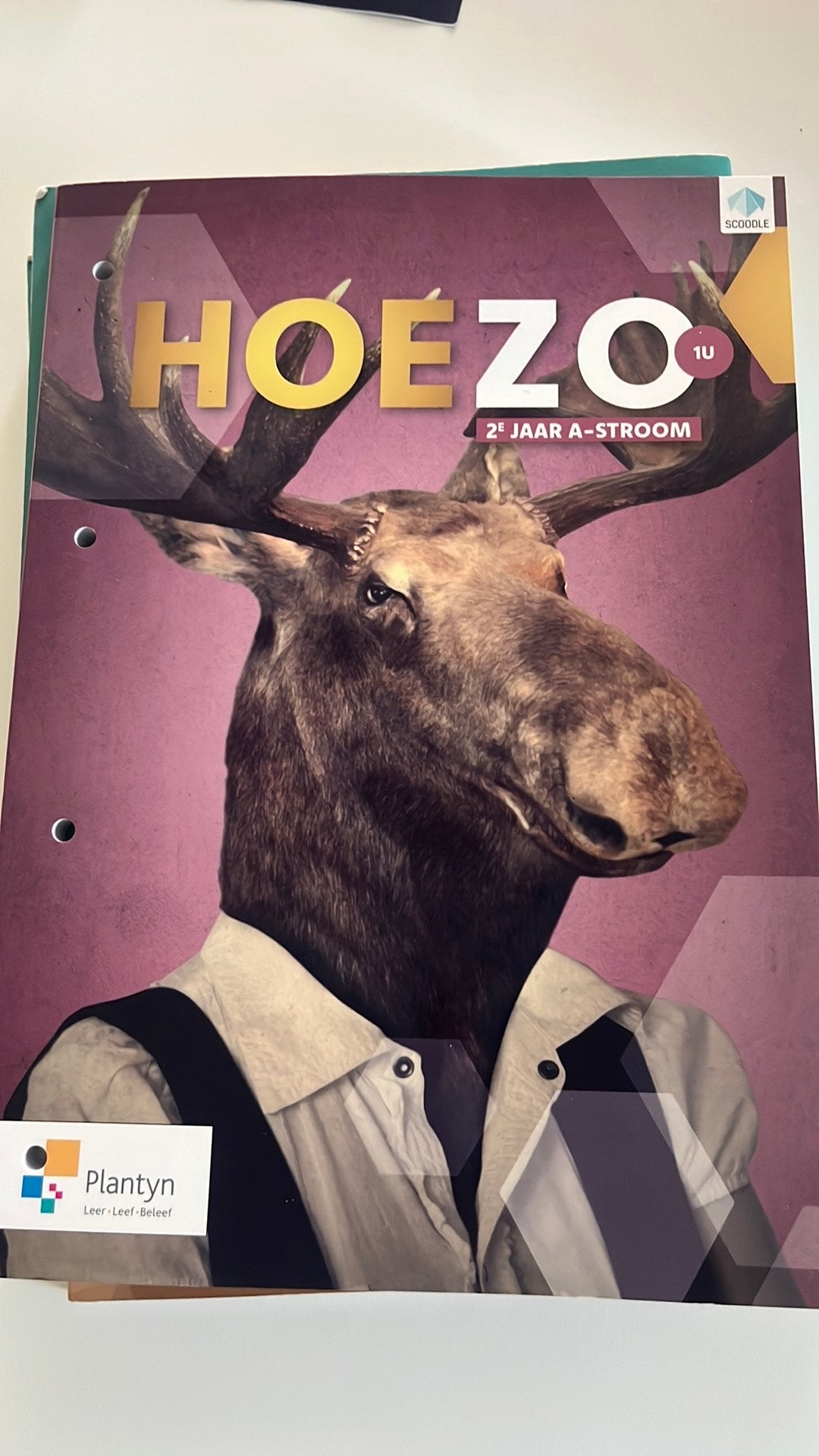 Jeroen Goussey - Leerwerkboek hoezo 2, Boeken, Ophalen, Nederlands, Jeroen Goussey; Evelyne Vanoutrive