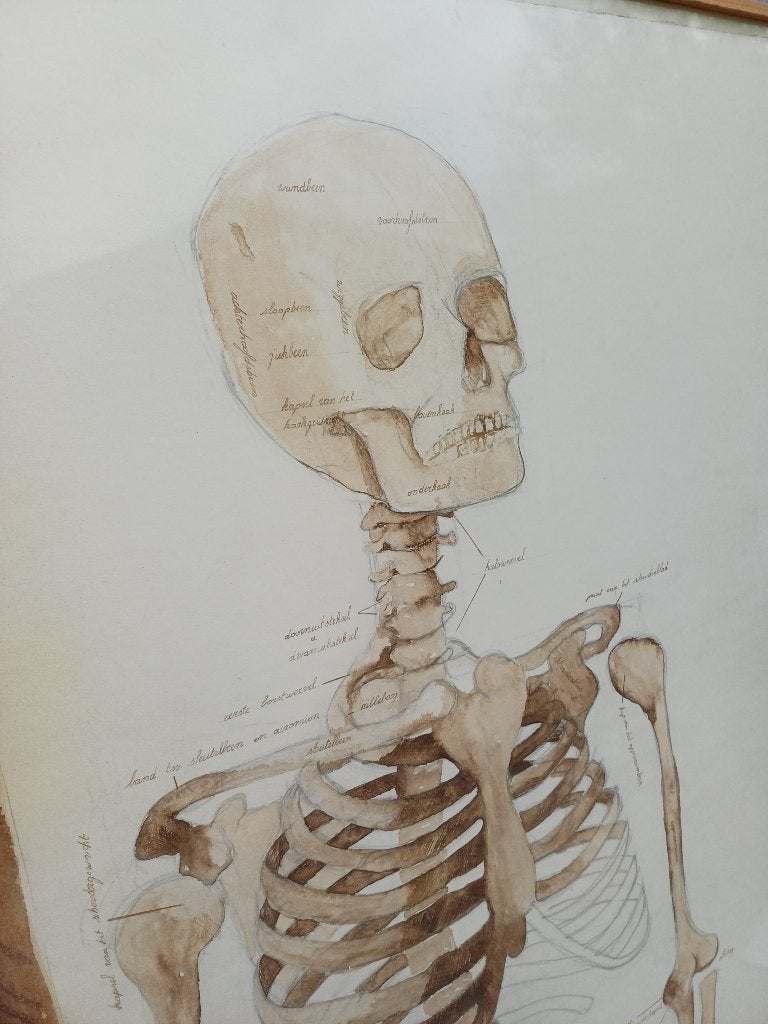 Dessin anatomique figuratif — œuvre d'art unique, Enlèvement