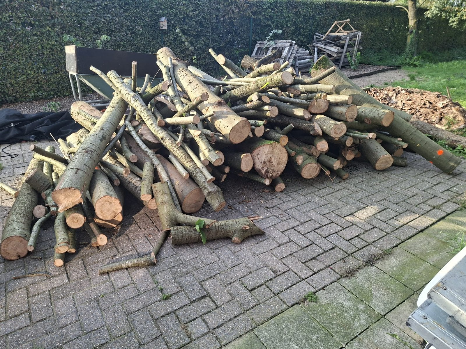 Brandhout amerikaanse eik +- 25kub, 6 m³ ou plus, Enlèvement, Chêne, Troncs d'arbres