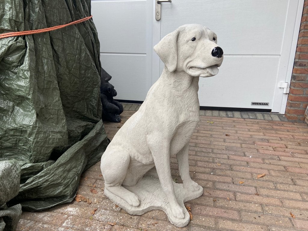 Labrador Retriever , hoogte 85cm, Ophalen, Nieuw, Beton, Dierenbeeld